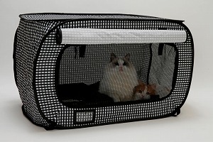 cat carrier with litter box