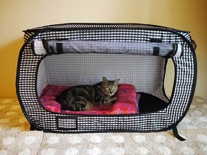 CAT CARRIER / CAT CAGE LV hot sell‼️