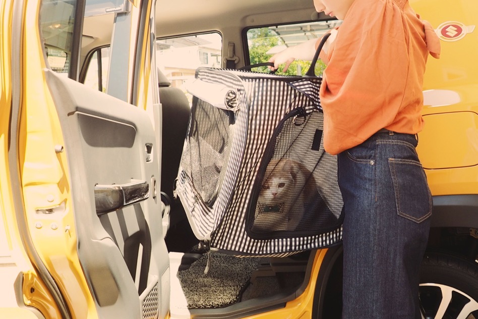 portable cat condo