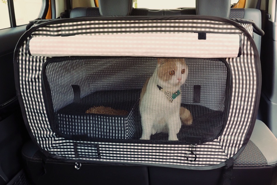 car cage for cats