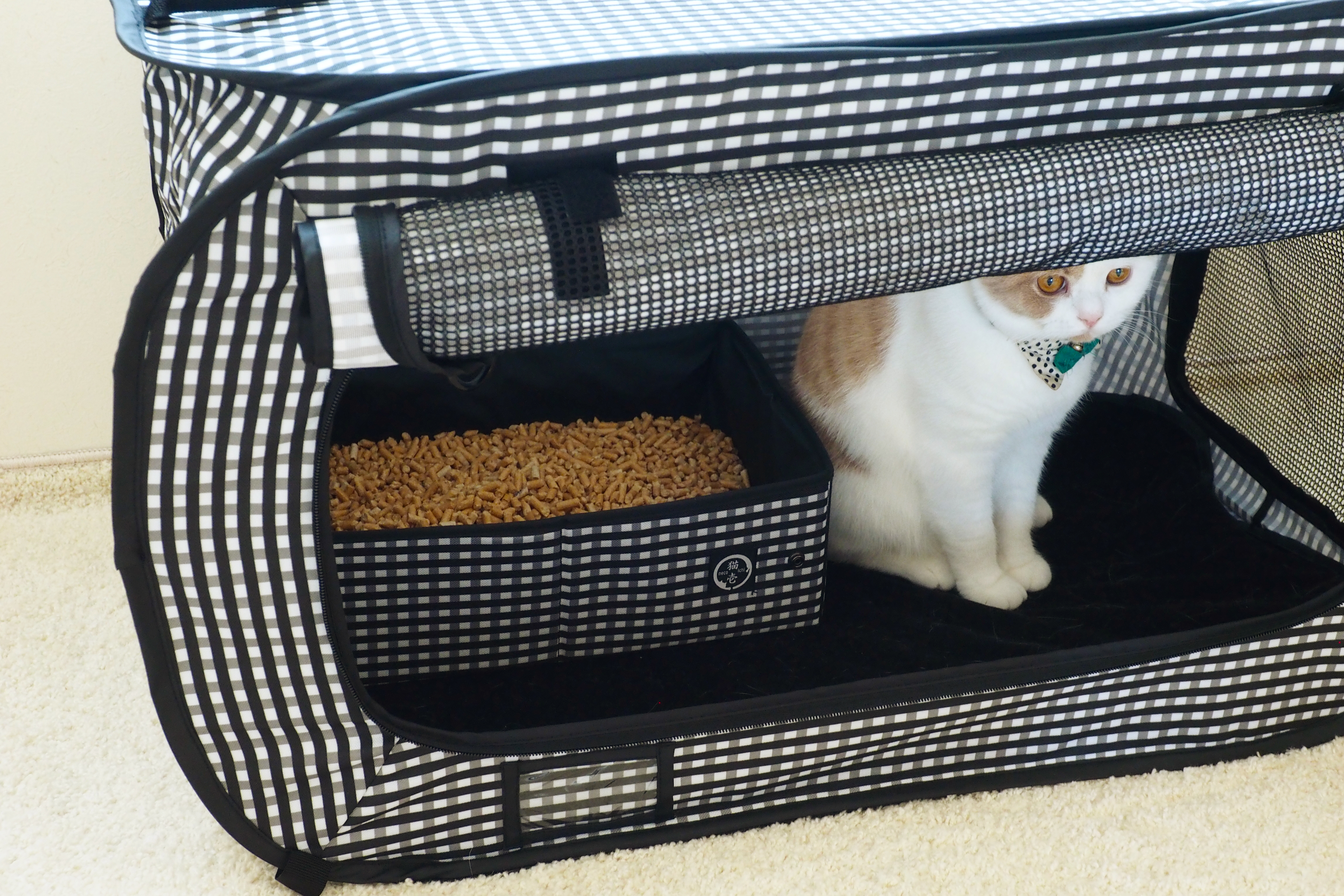 travel with litter box