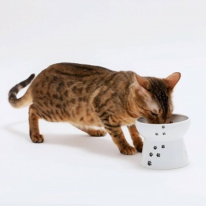 Necoichi Extra Wide Raised Cat Food Bowl, Sakura, Large