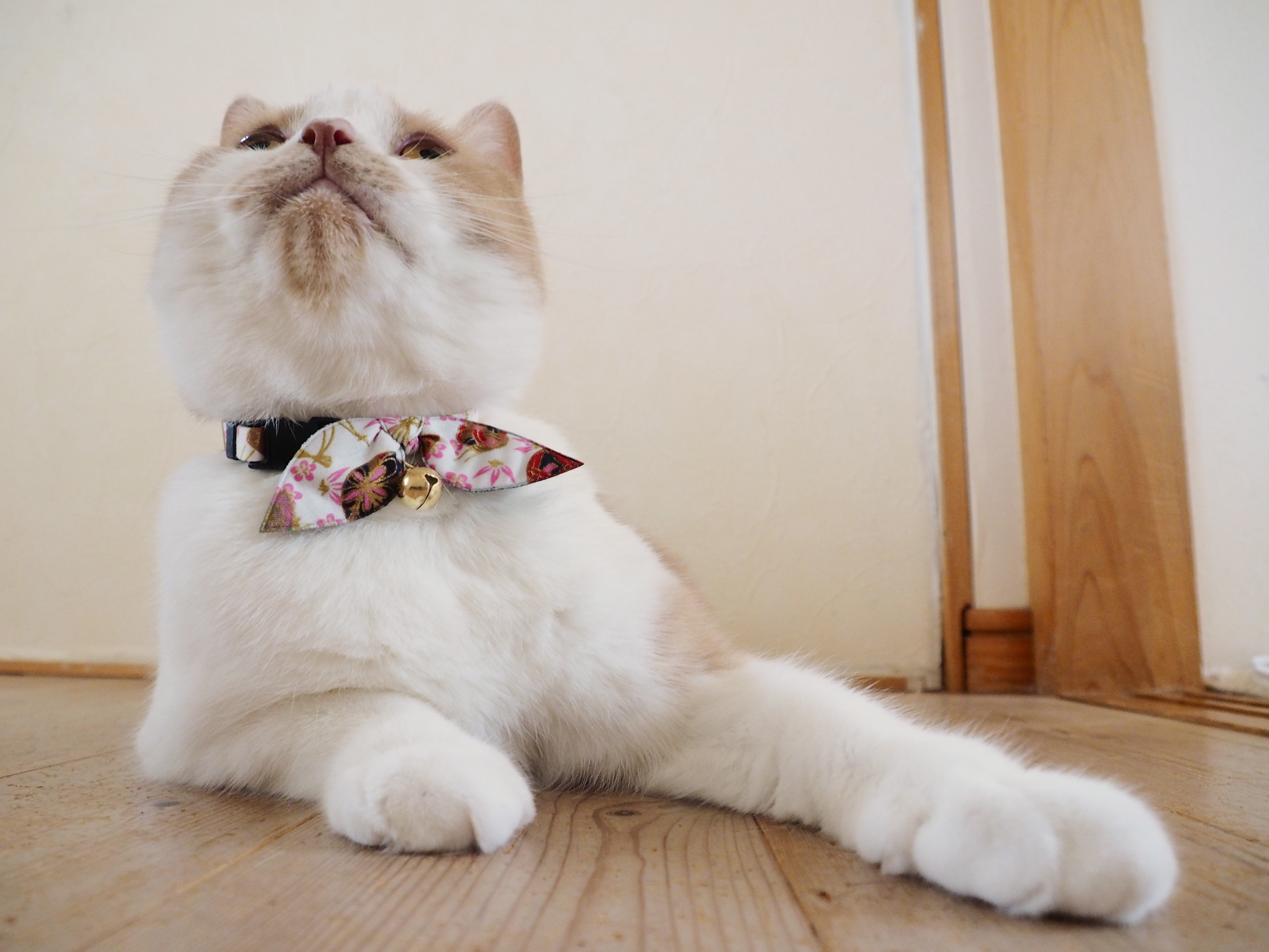 Necoichi Kimono Bow Tie Cat Collar 