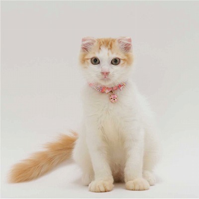 Chirimen Cat Collar with Clover Bell (Pastel Pink)