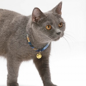 Chirimen Cat Collar with Clover Bell Navy image 2