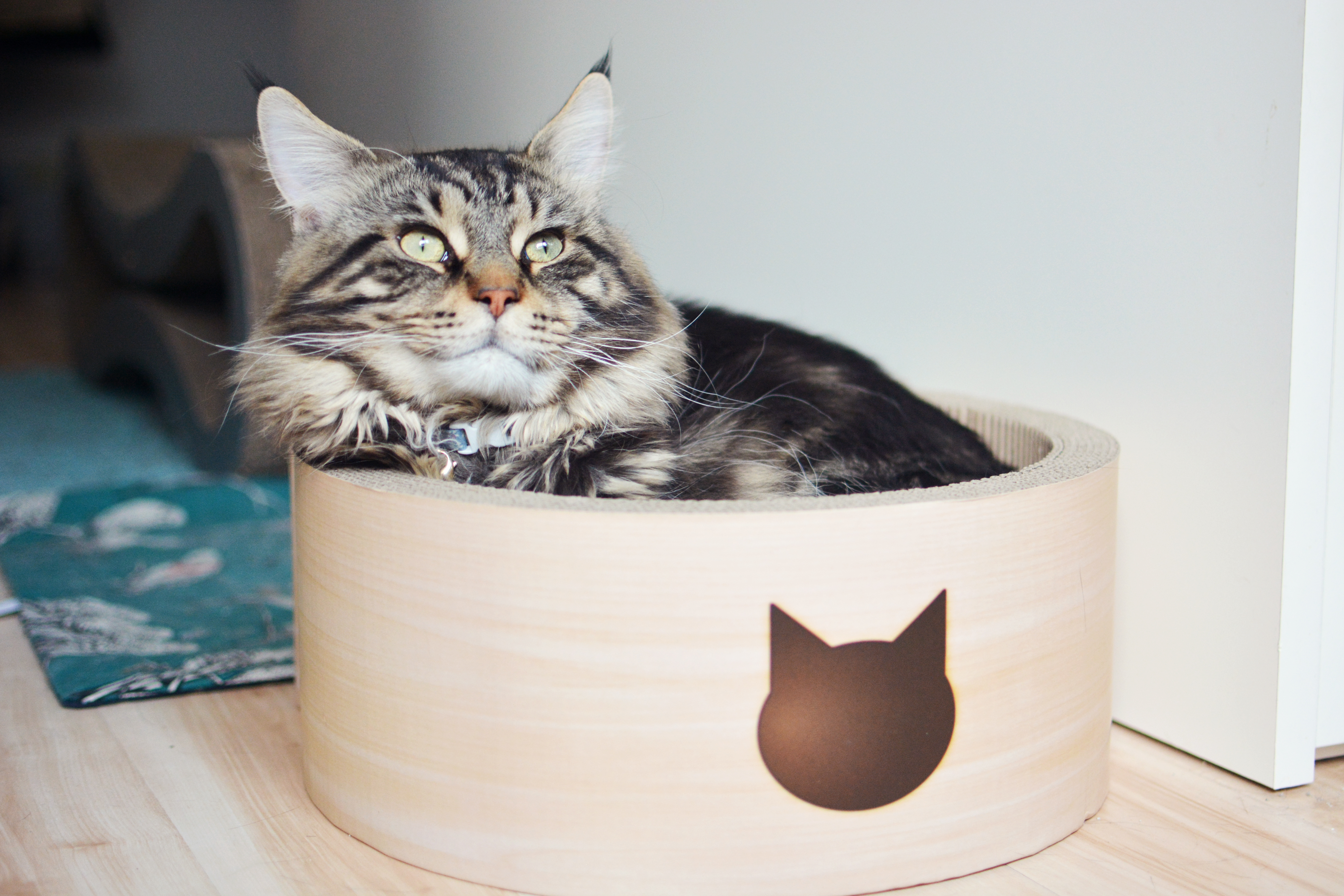 Necoichi Cat-Headed Scratcher Bed 