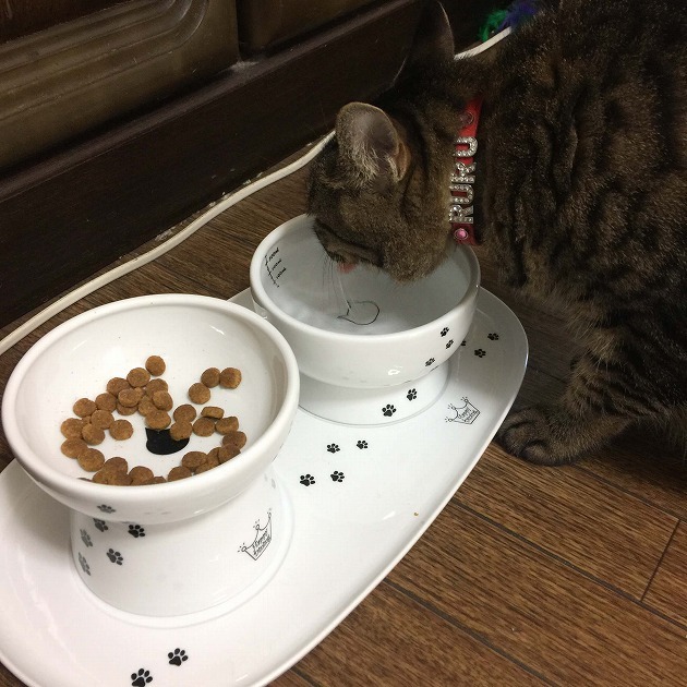 I like the bowl♡