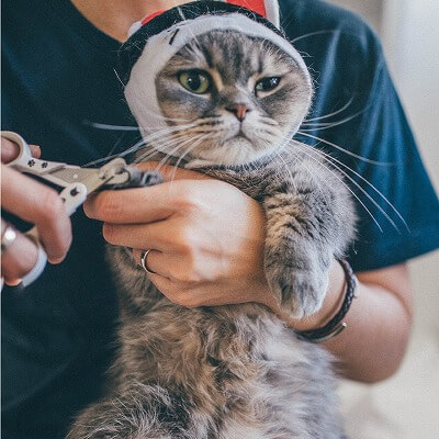 Necoichi Purrcision Feline Cat Nail Clippers