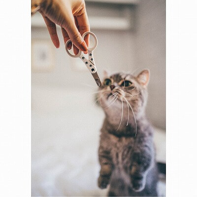 Necoichi Purrcision Feline Cat Nail Clippers