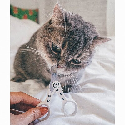 Necoichi Purrcision Feline Cat Nail Clippers