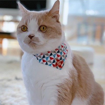 Ninja Cat Bandana Collar (Blue)