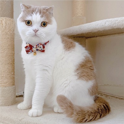  ・Dimensions：3.1” x 4.3” x 0.2”<br />
・Weight: 0.03 Pounds　　<br />
・Materials: cotton, polyester, PVC<br />
Chirimen Kimono Bow Tie Cat Collar (Red)