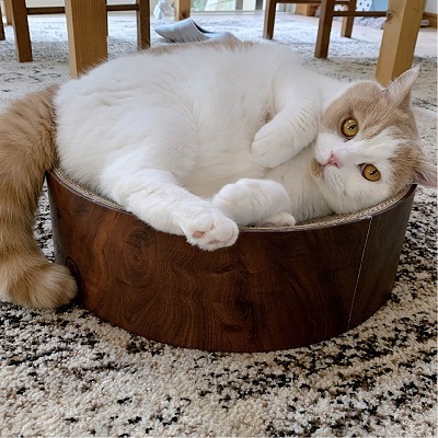 Cozy Cat Scratcher Bowl (Dark Cherry)11