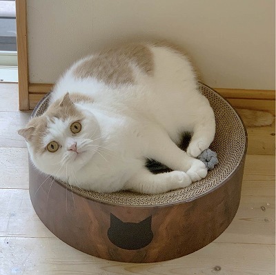 Cozy Cat Scratcher Bowl (Dark Cherry)14