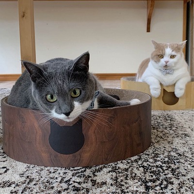 Cozy Cat Scratcher Bowl (Dark Cherry)15