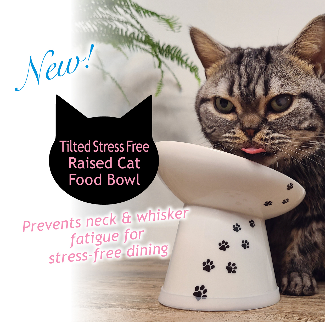 Tilted Stress Free Raised Cat Food Bowl