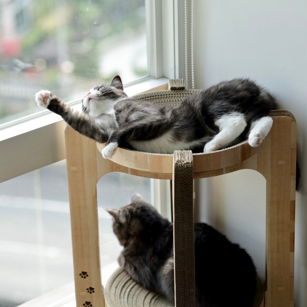 Cozy Cat Scratcher Tower