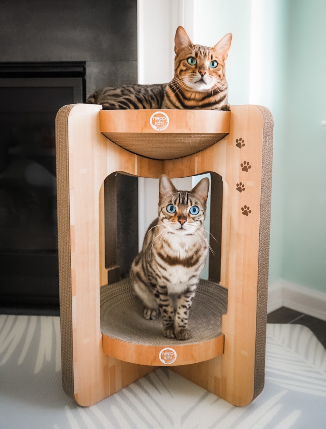 Cozy Cat Scratcher Tower　3