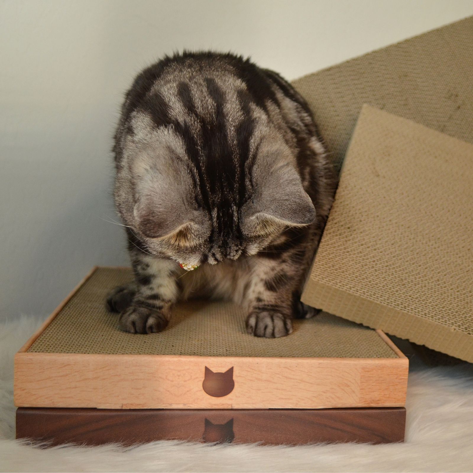 Cozy Cat Scratcher Bowl