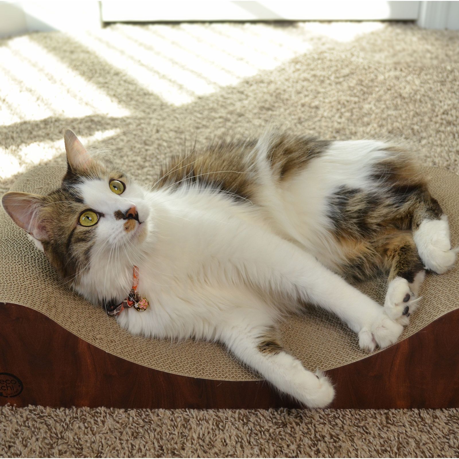 Cozy Cat Scratcher Bowl