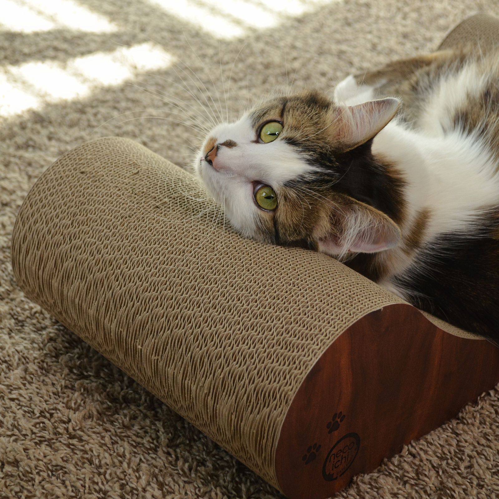 Cozy Cat Scratcher Bowl